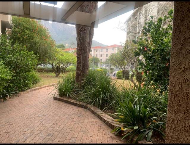3 BEDROOM PROPERTY TO RENT IN RONDEBOSCH